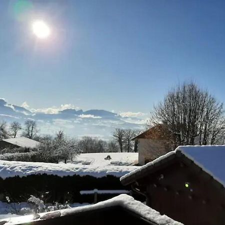 5 Min Des Pistes De Ski Grand Studio Mezzanine Viuz-en-Sallaz Dış mekan fotoğraf