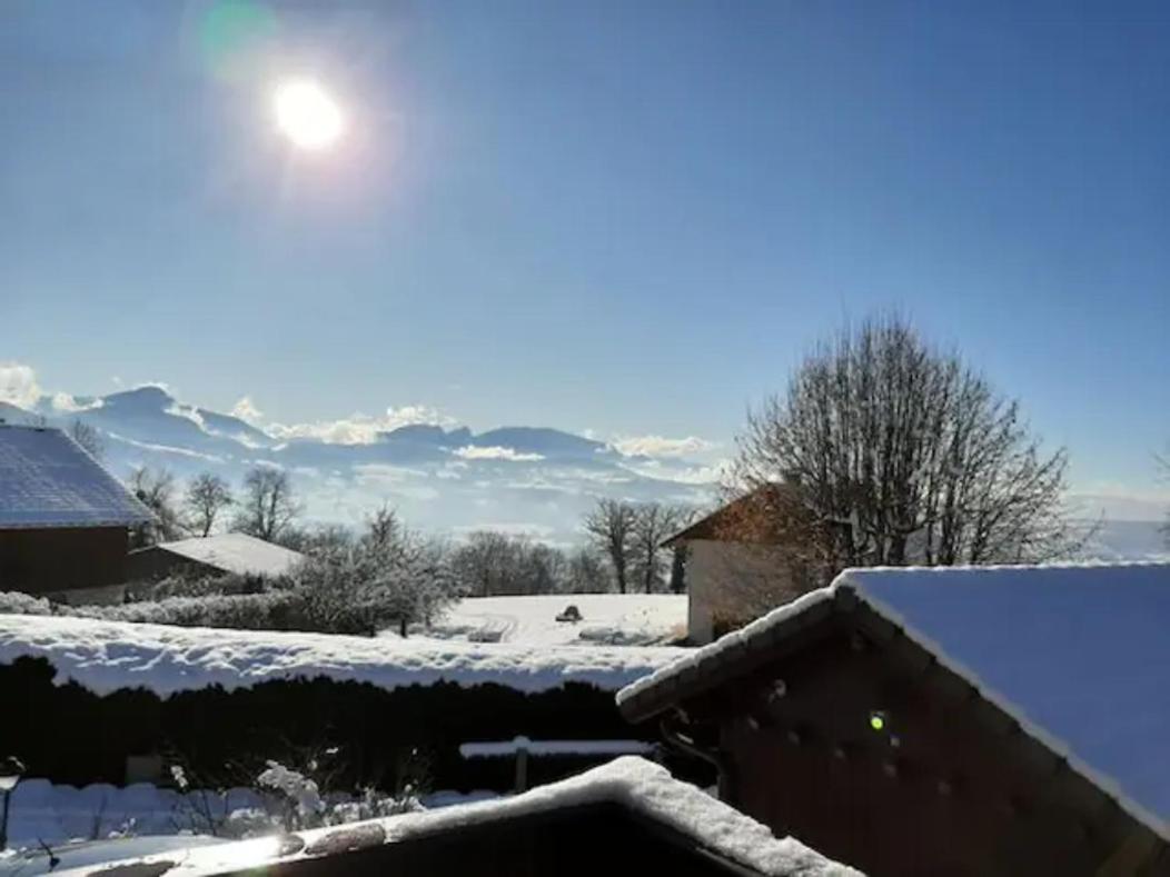 5 Min Des Pistes De Ski Grand Studio Mezzanine Viuz-en-Sallaz Dış mekan fotoğraf