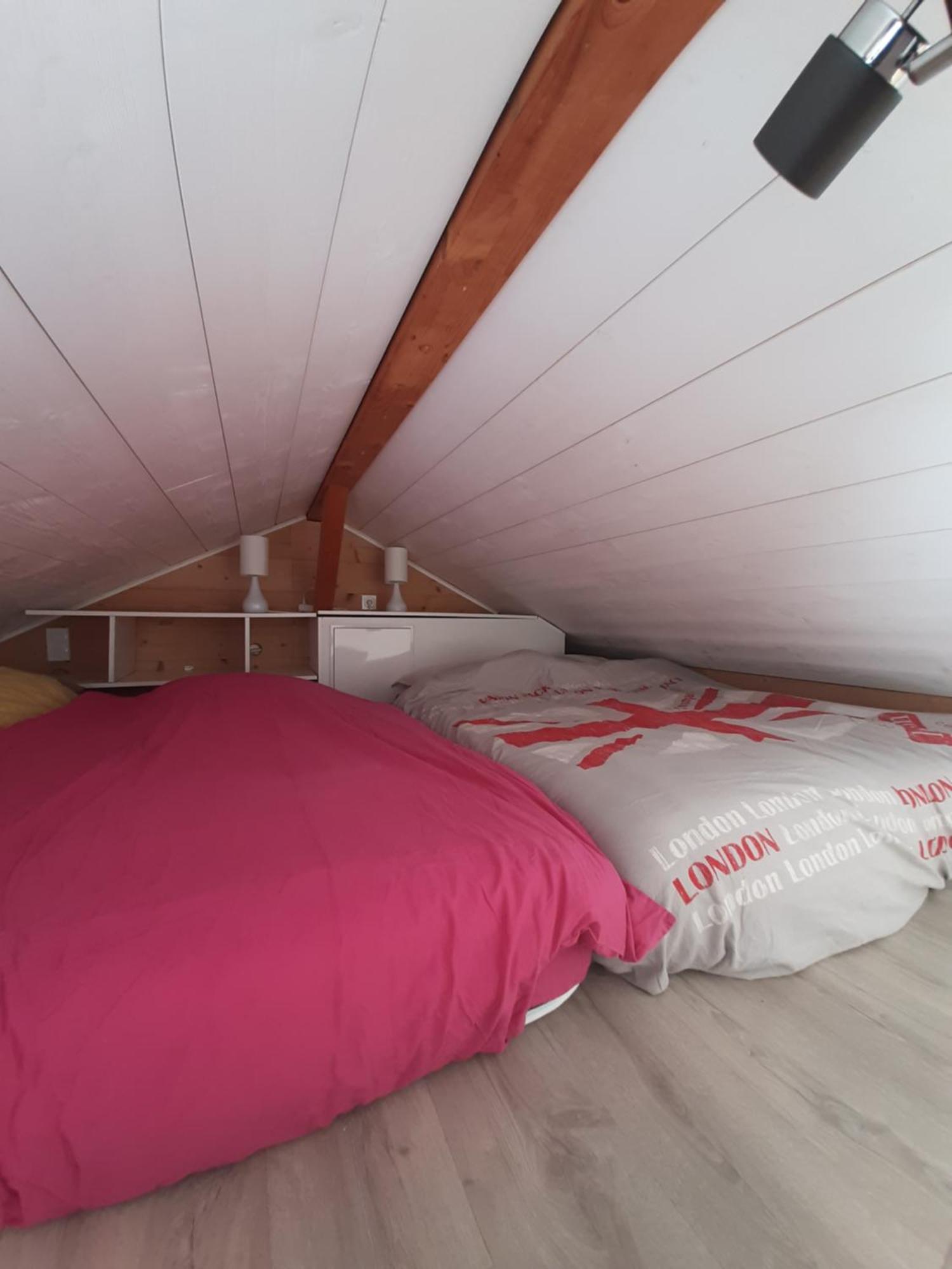 5 Min Des Pistes De Ski Grand Studio Mezzanine Viuz-en-Sallaz Dış mekan fotoğraf